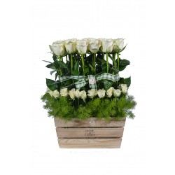 السيدة الأنيقة