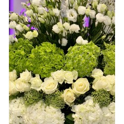 ترتيبة الطبيعة الخلابة