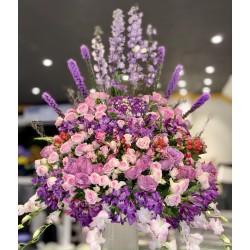 ترتيبة الجمال المتألق