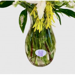 الليليوم السحرية |مزهرية زجاجية