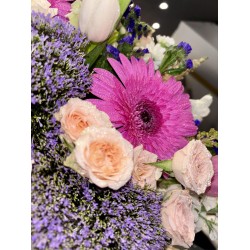 فازة المشاعر الجميلة