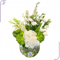 مزهرية الجمال الأنيق