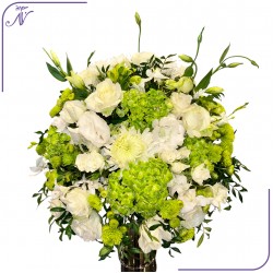 فازة الجمال الأنيقة