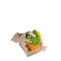 ذكريات جميلة 