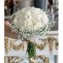 مسكة كرنيشن لطيف