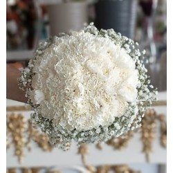 مسكة كرنيشن لطيف