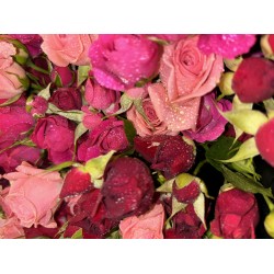 باقة بيبي جوري النابعة من القلب