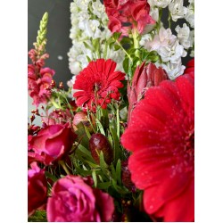 ترتيبة الجمال الزاهي