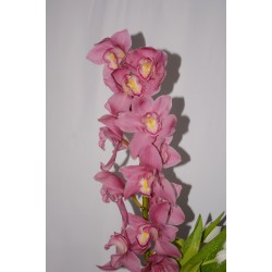 مزهرية اشراقة الزهور