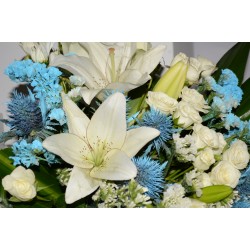 مزهرية زهور الهدوء