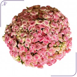 مزهرية زهور وردية جذابة