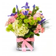 مفاجأة جميلة 